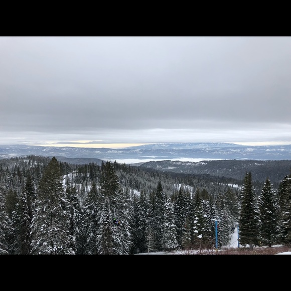 Meet your Posher, Clayton - Picture 1 of 1